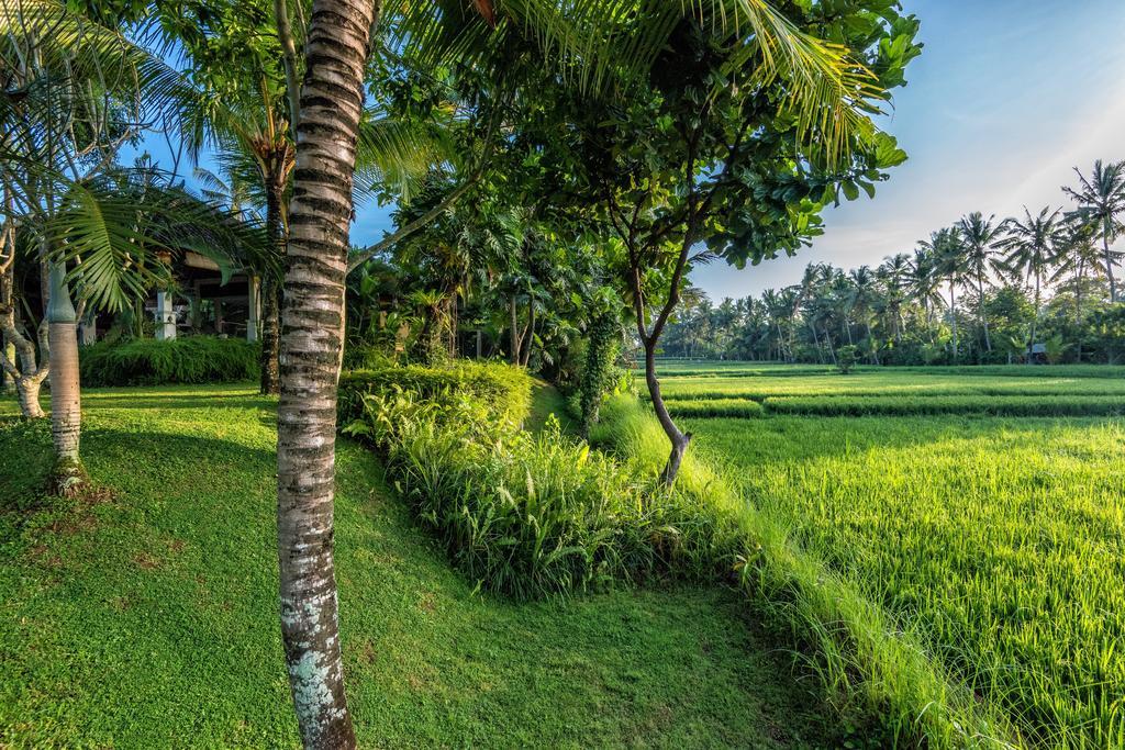 Villa Sabandari Ubud Zewnętrze zdjęcie