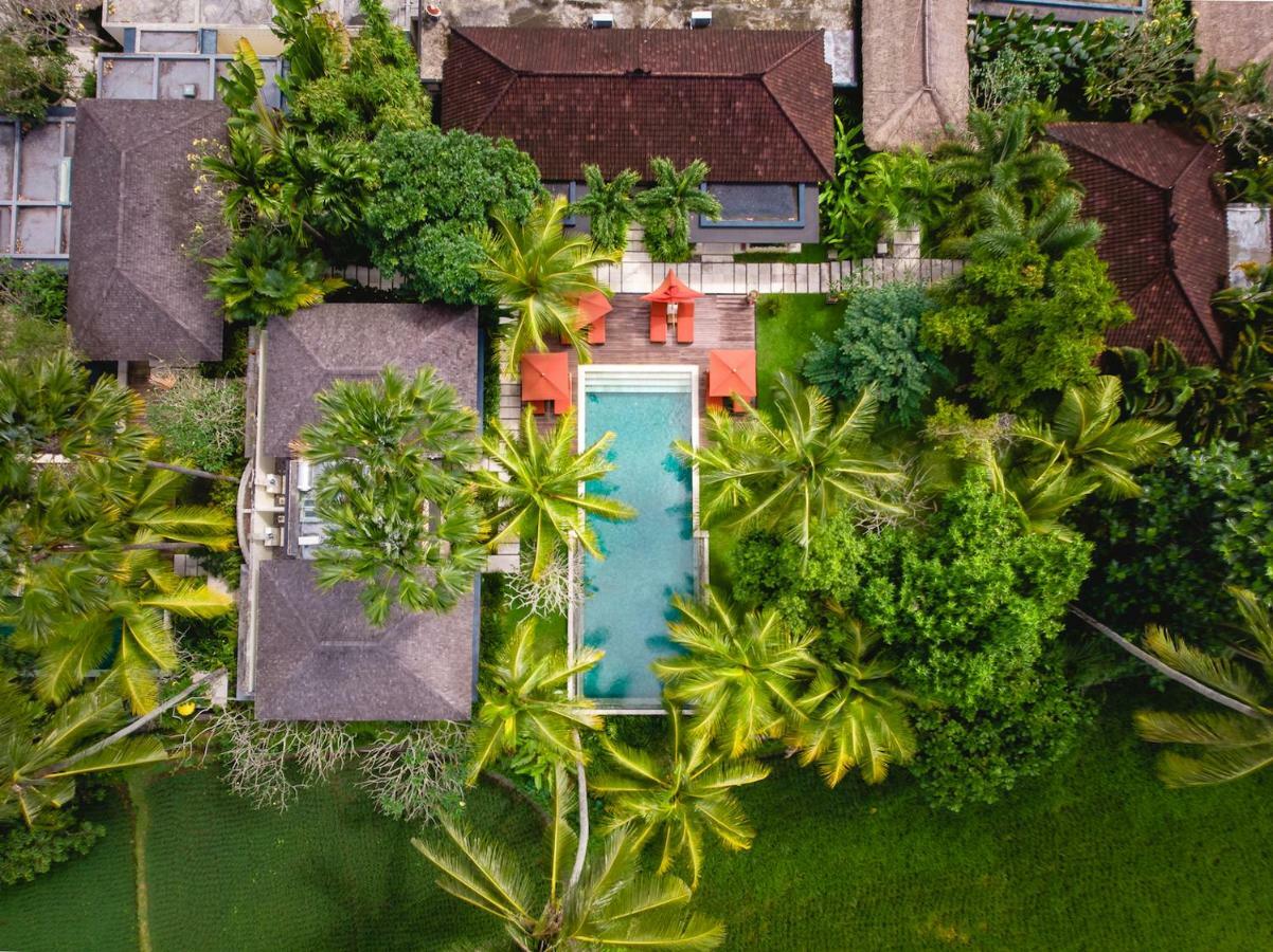 Villa Sabandari Ubud Zewnętrze zdjęcie